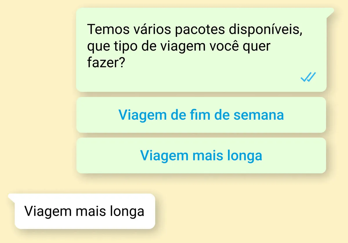 Captura de tela de conversa entre empresa e cliente