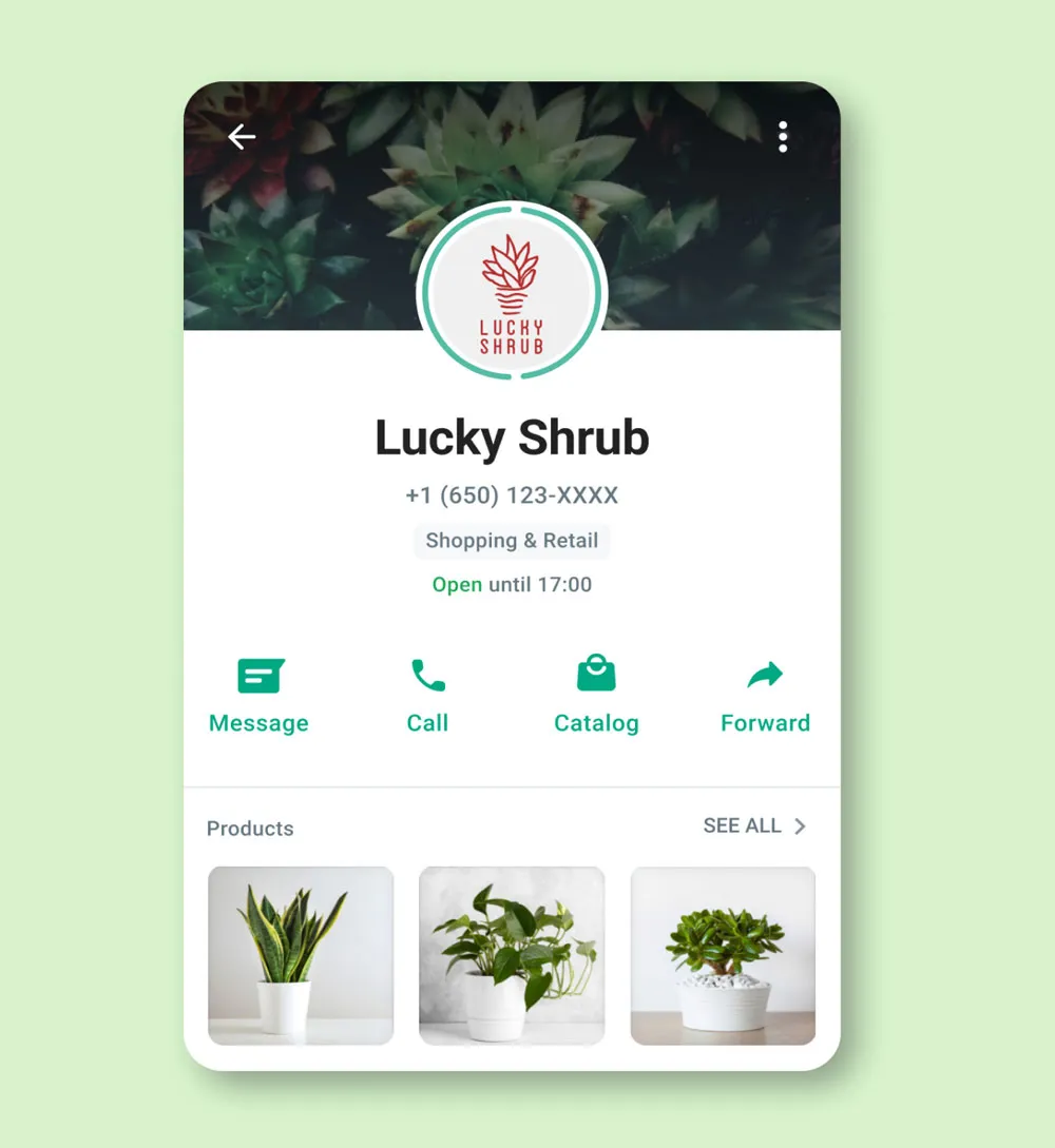 WhatsApp Business App user interface